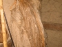 140-4035_img
